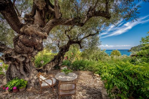 a table and chairs sitting under a tree at Lithalona Villas & Houses in Marathias