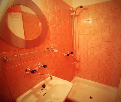 a bathroom with a sink and a shower with a mirror at Penzion Vápenka in Horní Maršov