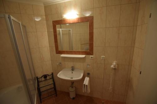 ゼルデンにあるFerienhof Sonnscheinの洗面台と鏡のあるバスルーム