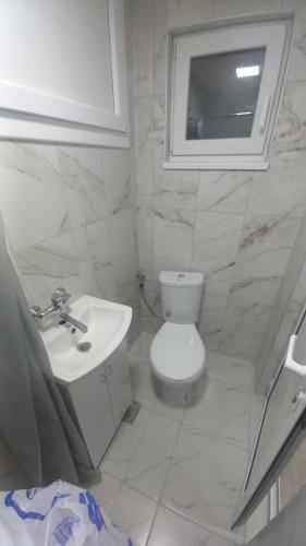 Gambar di galeri bagi Apartmani Zorica di Desimirovac