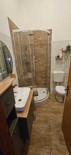 a bathroom with a shower and a sink and a toilet at Apartment K&M in Senj