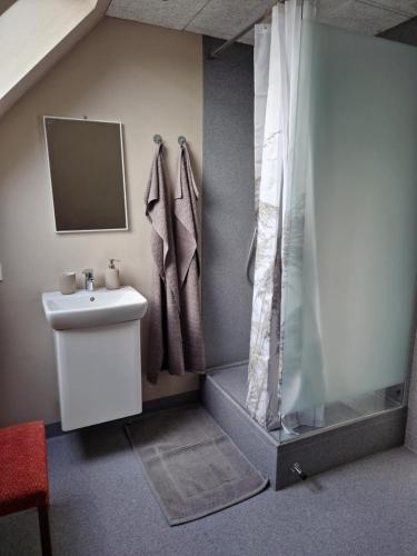 a bathroom with a shower and a sink at Stædets lejlighed in Bøvlingbjerg
