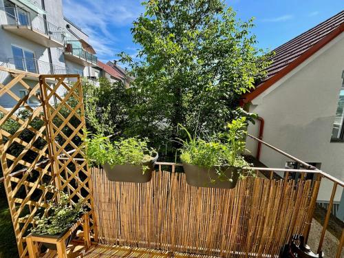 Kalvarienberg Apartment