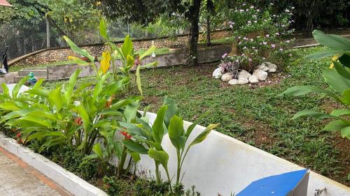a garden with plants and flowers in a yard at villa bonita in Florencia