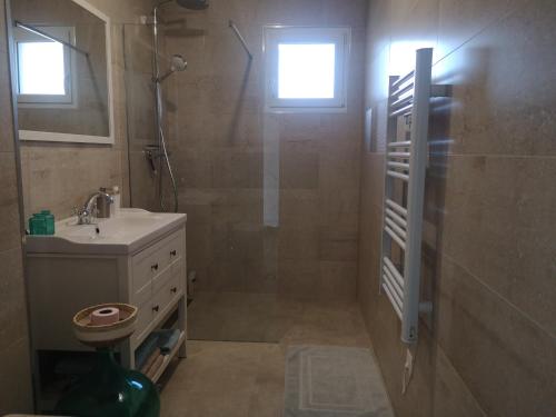 a bathroom with a shower and a sink at Nature et bien- être in Sauvigney-lès-Pesmes