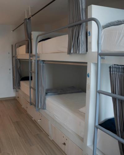 a group of bunk beds in a room at Dreamer Beach Club in San Andrés