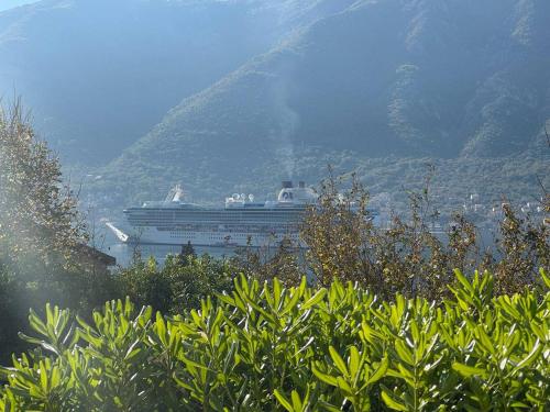 Modern bright 2 bedroom apartment with panoramic view of Boka Kotorska Bay