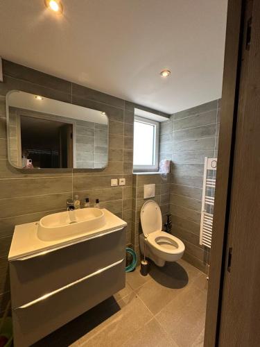 une salle de bain avec un lavabo et des toilettes dans l'établissement Villa Měng, à Sauve
