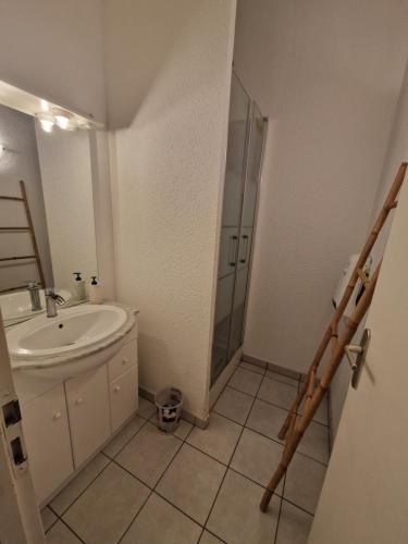 une salle de bain avec un lavabo et une douche en verre dans l'établissement SUPERBE T2 RESIDENCE LE RAPIN 4 personnes, à Port-la-Nouvelle