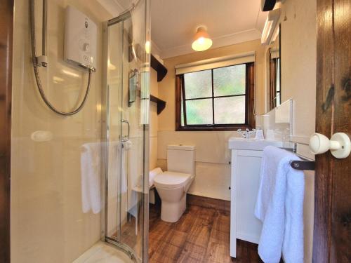a bathroom with a toilet and a glass shower at Y Caban at Wig Farm near Llangrannog in Llandysul