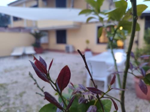 Сад в Appartamento valderoa 116 fiumicino