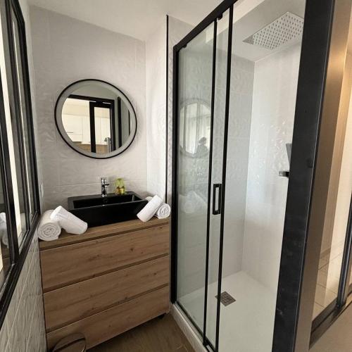 une salle de bain avec un lavabo et un miroir dans l'établissement Appartement 4 personnes Natura Beach 106, au Cap d'Agde