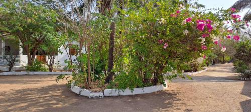 Ein Garten an der Unterkunft KASA KAISSAKU avec accès direct à plage pour 2 à 12 personnes