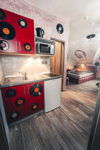 a kitchen with a sink and a stove with records on the wall at Penzion Hádlík in Velké Pavlovice