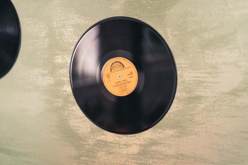 a black vinyl record sitting on a table at Penzion Hádlík in Velké Pavlovice