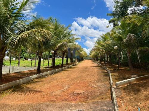a dirt road with palm trees on the side at Refúgio Romântico com Pet Friendly 38min de ÁGUAS CLARAS BRASÍLIA in Brasilia