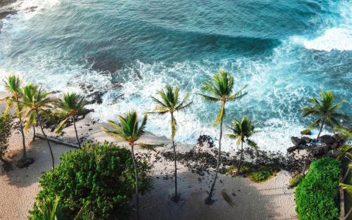 an aerial view of a beach with palm trees at Hale Polū in Waikoloa Village