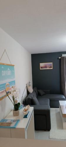 a living room with a couch and a table at Le refuge du Bassin - T2 Charme et confort in Lanton