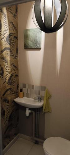 a bathroom with a sink and a toilet and a chandelier at Le refuge du Bassin - T2 Charme et confort in Lanton