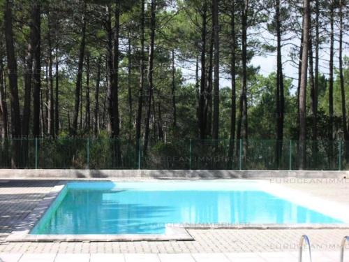 une piscine devant des arbres dans l'établissement Résidence Cigalines - Maisonnette mitoyenne 4 pers, résidence avec piscine, à Lacanau Océan MAE-0371, à Lacanau