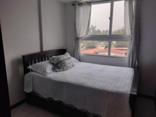 Gambar di galeri bagi 504 T1 Beautiful apartment di Guatemala