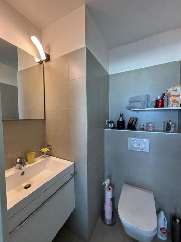 une salle de bain avec un lavabo et des toilettes dans l'établissement Le Syracuse, à Antibes