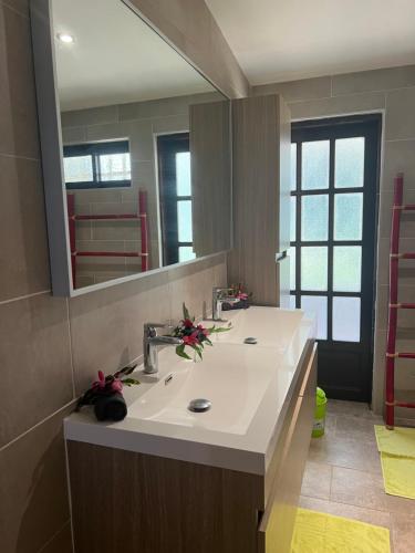 a bathroom with a sink and a large mirror at Villa Te Torea in Arue