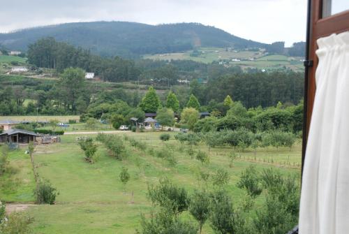 a view from a window of a field with trees at La Casona de Amaido in San Tirso de Abres