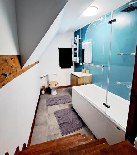 a bathroom with a shower and a toilet and a sink at Schlupfgass' - Centre historique in Wissembourg