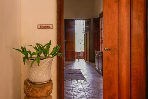 Fotografie z fotogalerie ubytování Luxurious & Private Hacienda Molas v destinaci Molas