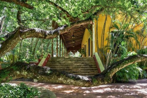 Fotografie z fotogalerie ubytování Luxurious & Private Hacienda Molas v destinaci Molas