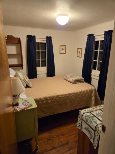 a bedroom with two beds with blue curtains and a table at Lakefront! Twin Birch Resort - The Green Laker in Honor