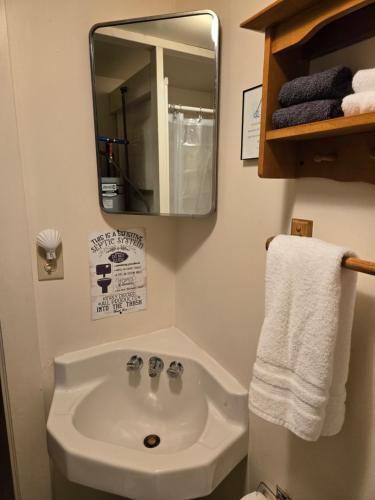 a bathroom with a sink and a mirror at Lakefront! Twin Birch Resort - The Green Laker in Honor