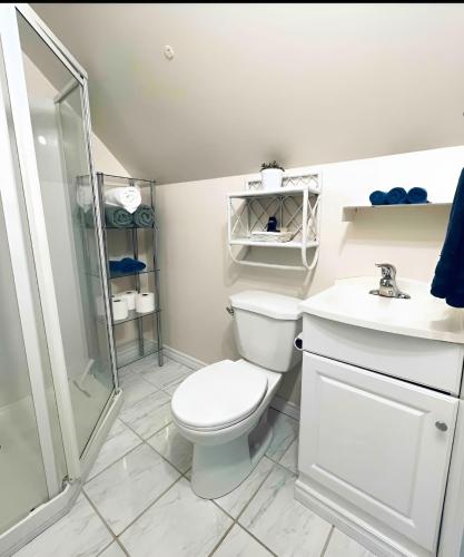 a bathroom with a toilet and a shower and a sink at Charming Cottage in Wellington's Heart near Beach in Wellington