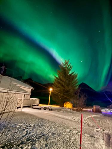 an image of the aurora dancing in the sky at Linda`s house in Grashopen