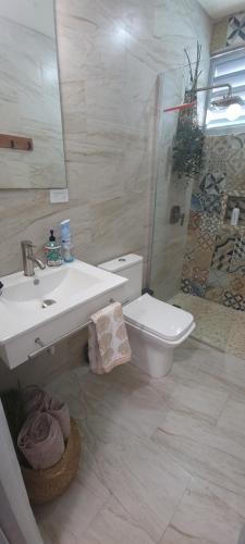 a bathroom with a toilet and a sink and a shower at Chalet The Palm Retreat Buye, Playa Buyé in El Cerro