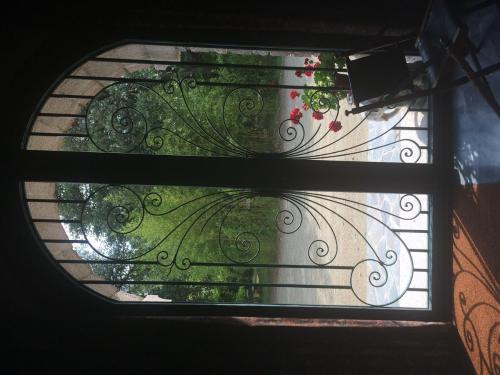 a view through a glass window of a garden at U Palazzu Corte in Corte