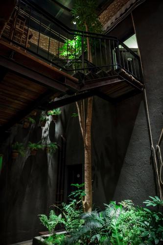 a building with a balcony and a tree in a courtyard at La Alondra, Casa de huéspedes in Corrientes