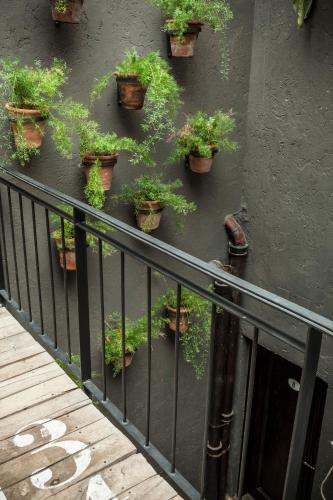 a group of potted plants on the side of a building at La Alondra, Casa de huéspedes in Corrientes