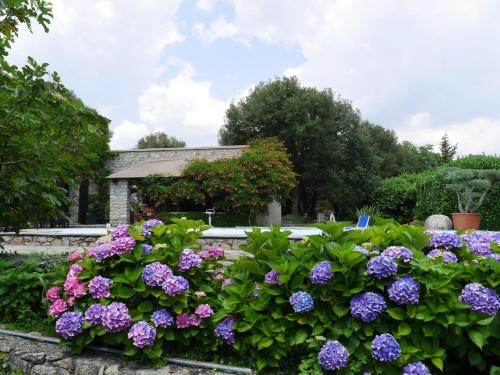 a garden with purple flowers in front of a building at U Palazzu Corte in Corte