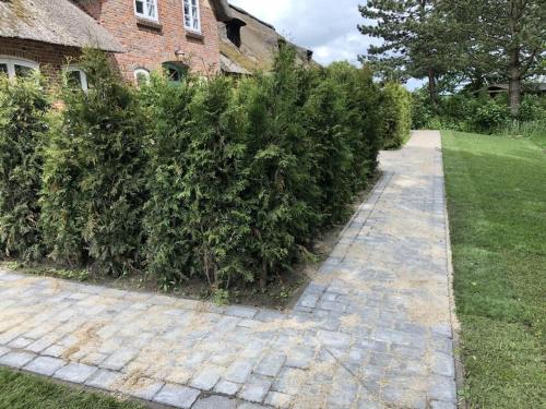 Gallery image of 1-bedroom apartment in Tating