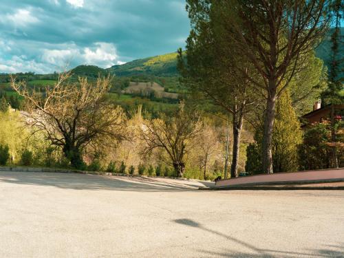 an empty street with trees and a hill in the background at Holiday Home in Assisi near Mount Subasio in Assisi