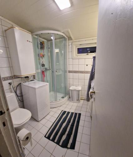 a bathroom with a shower and a toilet and a sink at Room In Handsome Haven House in Gjøvik