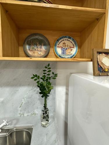 a vase with a plant on a counter next to a sink at Suíte 1 - Vila dos Pescadores in Angra dos Reis