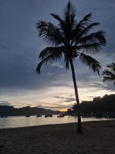 a palm tree on a beach with the ocean at Suíte 1 - Vila dos Pescadores in Angra dos Reis