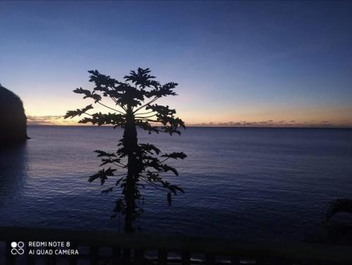 a tree in the middle of a body of water at Fare Mahina ocean view in Mahina