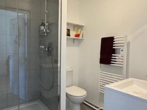 une salle de bain avec une douche, des toilettes et un lavabo dans l'établissement Appartement neuf avec terrasse et parking à Groix - FR-1-813-23, à Groix