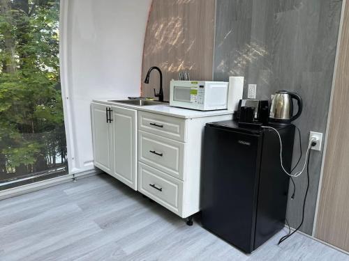 a kitchen with a microwave and a refrigerator at 2-bedroom Capsule House #30 in Parry Sound