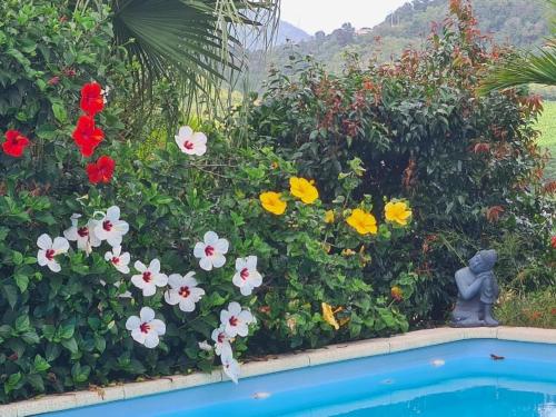 a garden with colorful flowers next to a swimming pool at Villa Kezia - Le Marin - Martinique in Le Marin