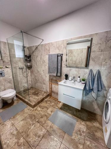 a bathroom with a shower and a sink and a toilet at Mira Studio in Popeşti-Leordeni